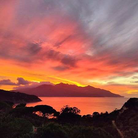 Hotel Scoglio Bianco 포르토페라이오 외부 사진