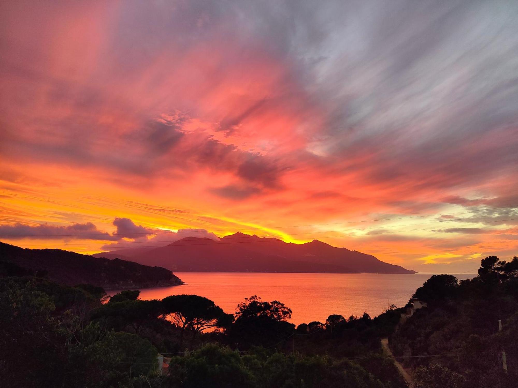 Hotel Scoglio Bianco 포르토페라이오 외부 사진