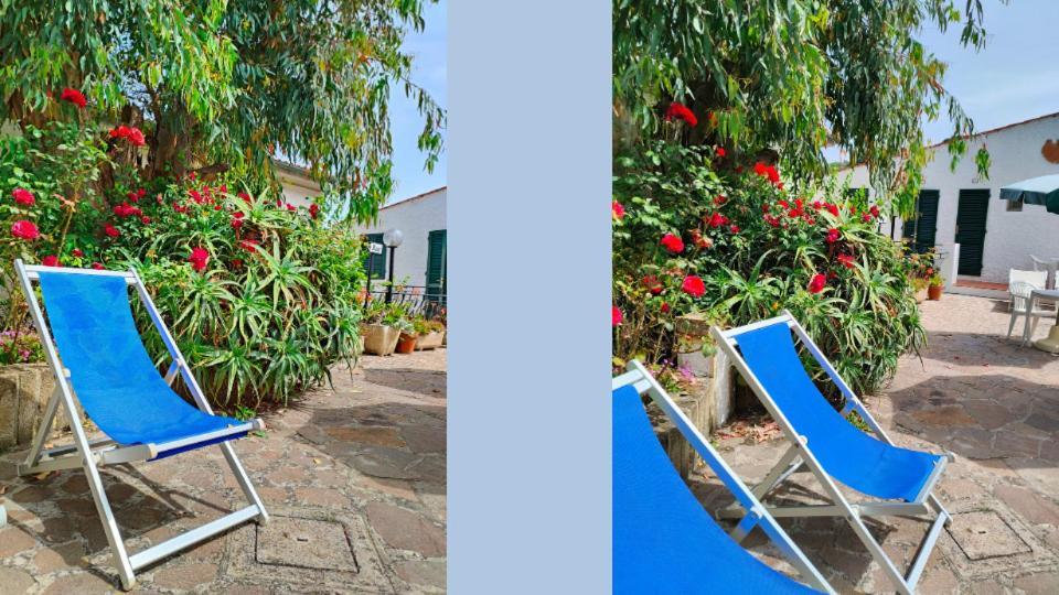 Hotel Scoglio Bianco 포르토페라이오 외부 사진