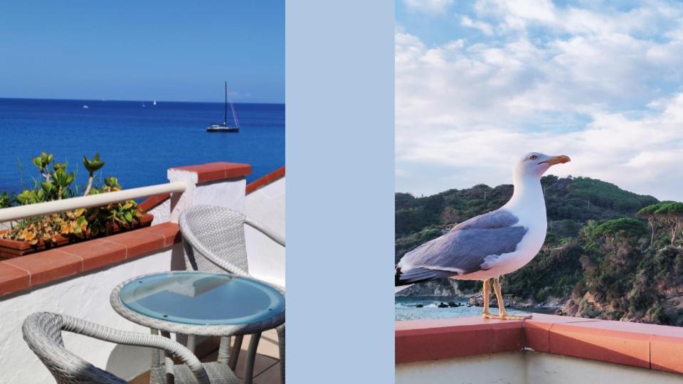 Hotel Scoglio Bianco 포르토페라이오 외부 사진