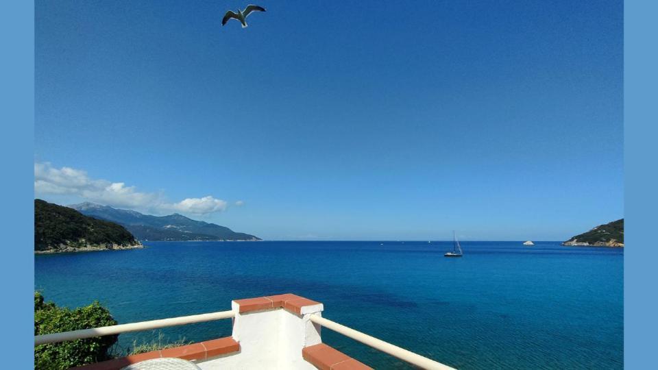 Hotel Scoglio Bianco 포르토페라이오 외부 사진