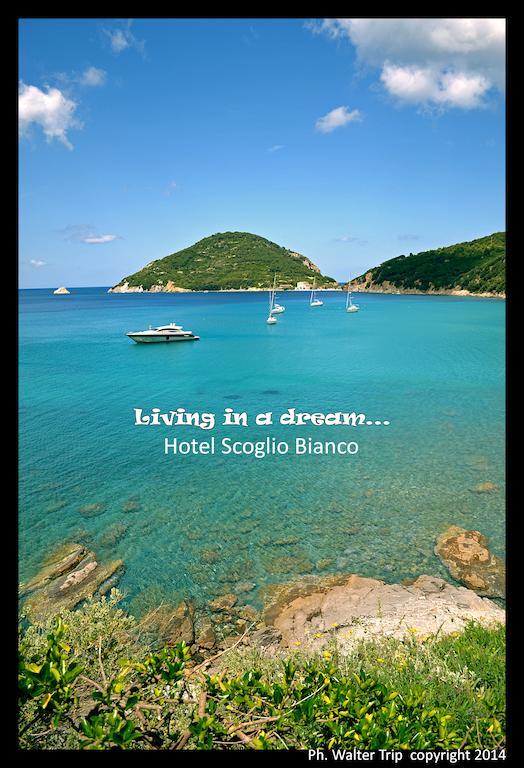 Hotel Scoglio Bianco 포르토페라이오 외부 사진